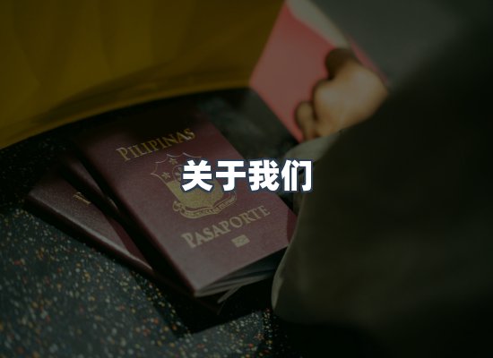 关于我们